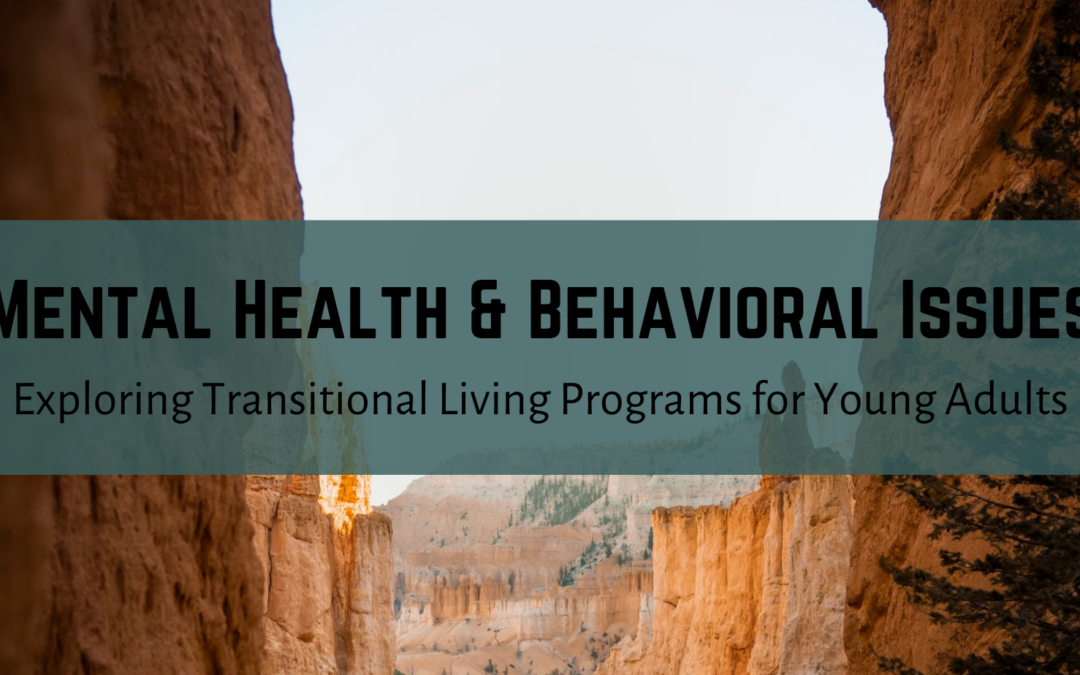 Mental Health and Behavioral Issues: Exploring Transitional Living Programs for Young Adults