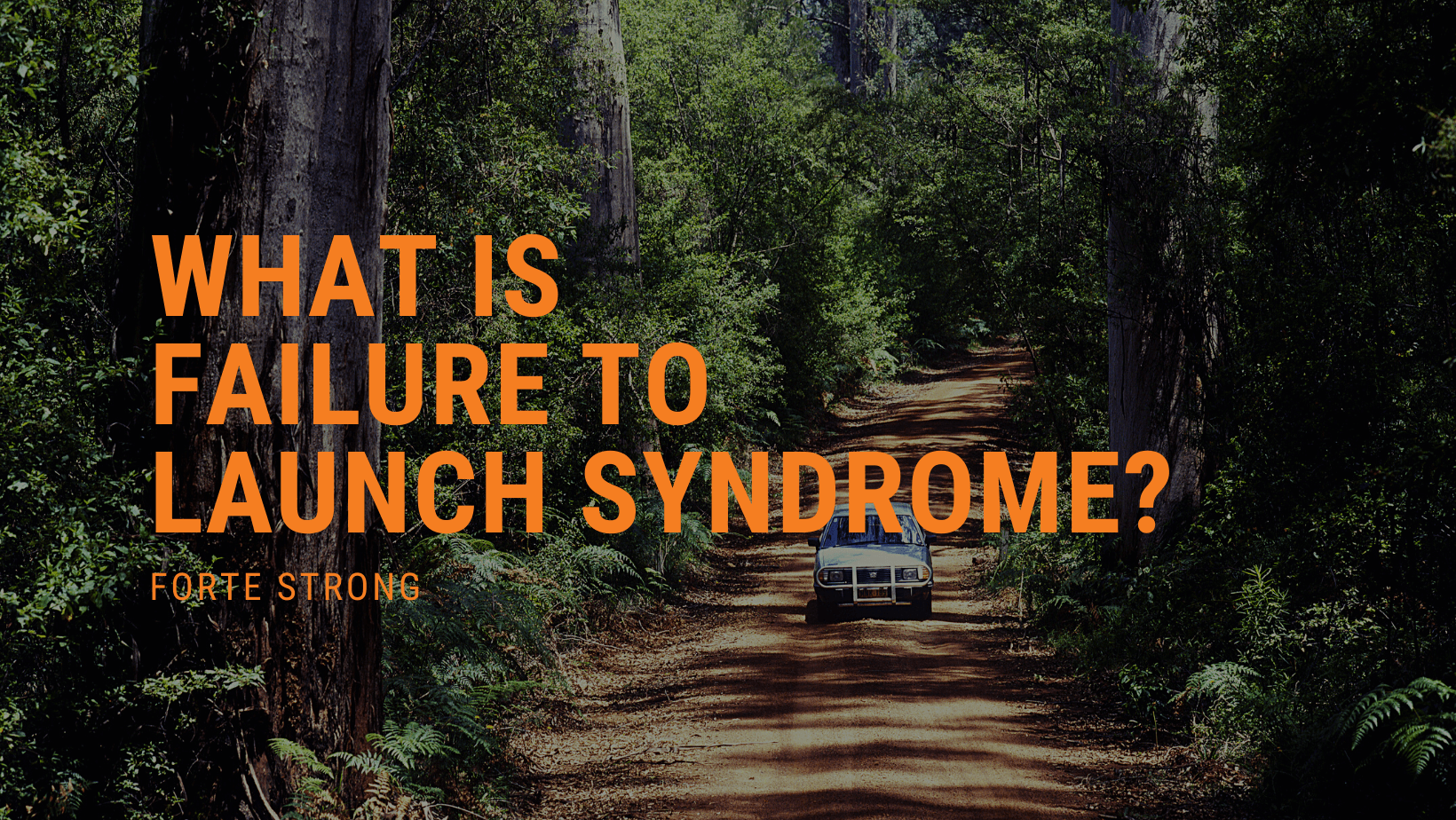 What is Failure to Launch Syndrome?