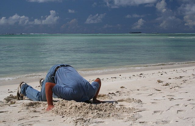 Is Your Son On Developmental Vacation? This is how to find out.
