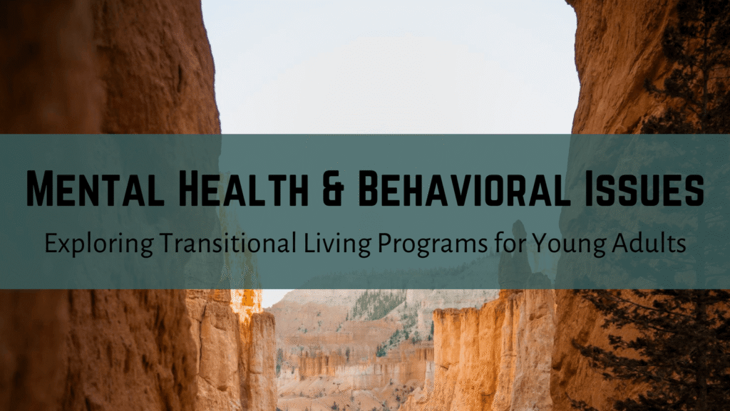 transitional living program