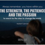 become a leader by developing strength, patience, and passion